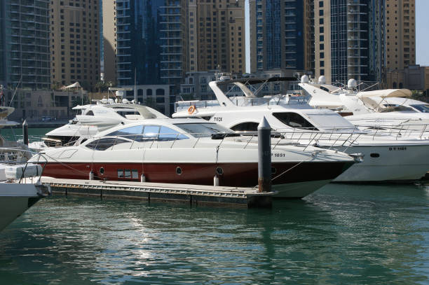 Anita Dee Yacht Charters Iconic Views of Chicago's Skyline