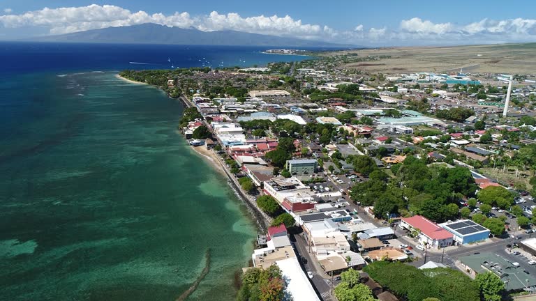 Discover Oahu's Turtle Tales Snorkeling Escapades