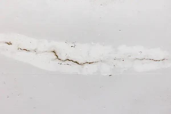 Roof Leak Repair Solutions That Increase Your Home’s Value