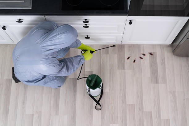 Expert Pest Control in Romford Residential & Commercial