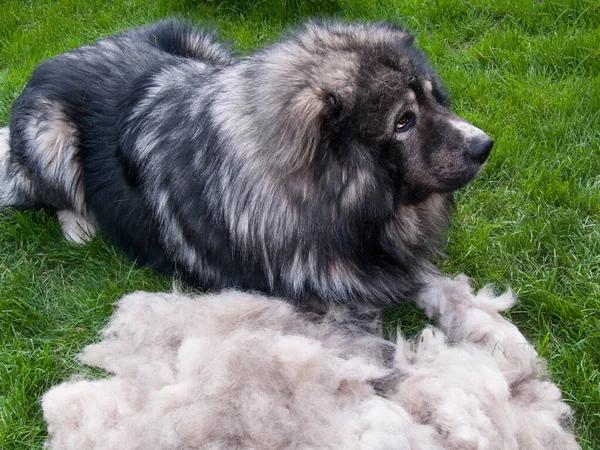 Understanding Water Heater Noises and What They Mean