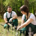 Bring Your Dream Yard to Life with Landscaping Services in Winfield PA