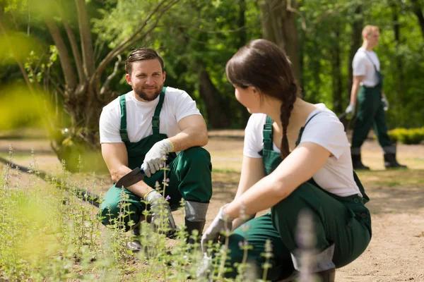Bring Your Dream Yard to Life with Landscaping Services in Winfield PA